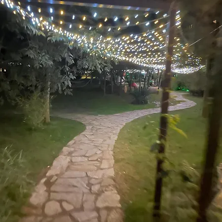 Harmony 14 Sunnybeach Daire